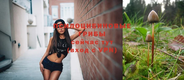 MDMA Premium VHQ Пролетарск