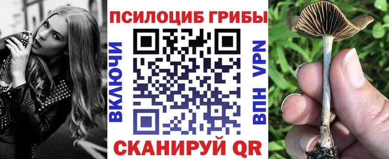 Галлюциногенные грибы Magic Shrooms  Купить закладки  Камень-на-Оби 