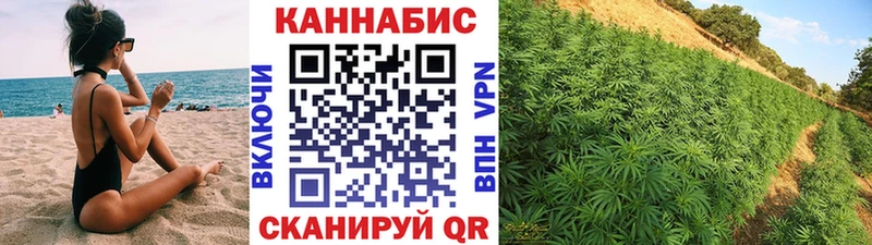 Конопля тримм  Купить закладки  Камень-на-Оби 
